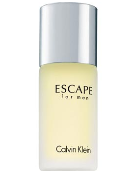 Calvin Klein Escape For Men Masculino 100ml